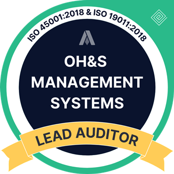 Health and safety audit review